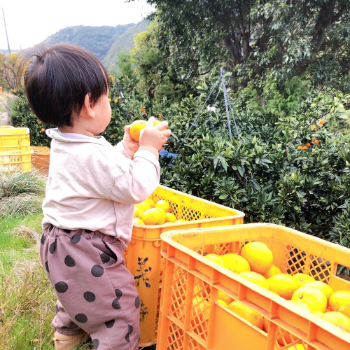 また行きたくなる参加型農園