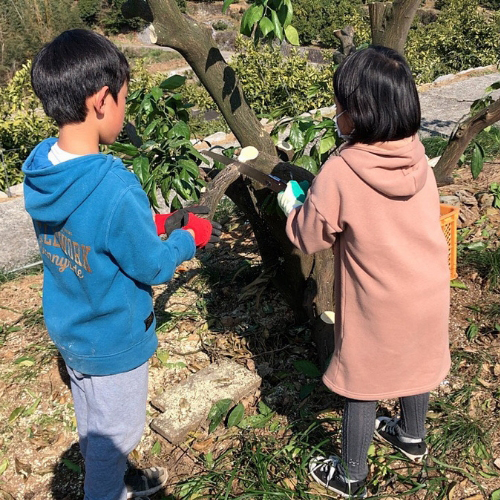 また行きたくなる参加型農園