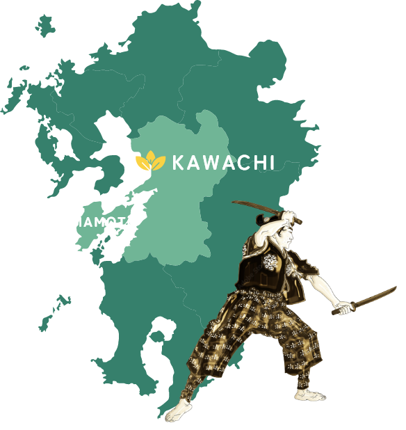 kawachi